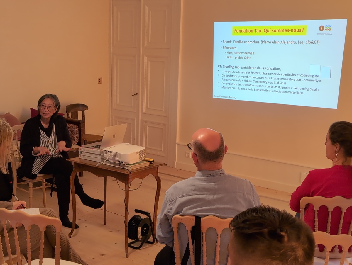 Charling Tao introduction